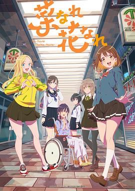 做一个seo网站方案多少钱